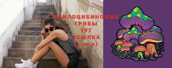 тгк Нея