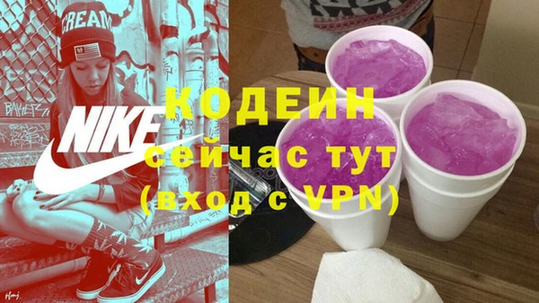 тгк Нея
