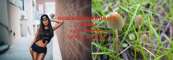 тгк Нея