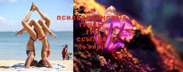 тгк Нея