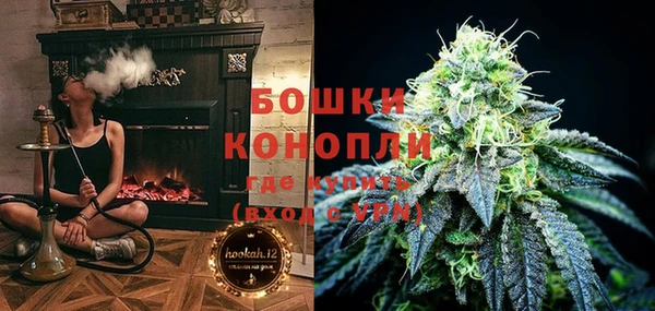 тгк Нея