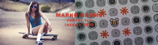 тгк Нея
