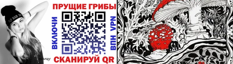 Галлюциногенные грибы мицелий  купить наркотик  Сусуман 